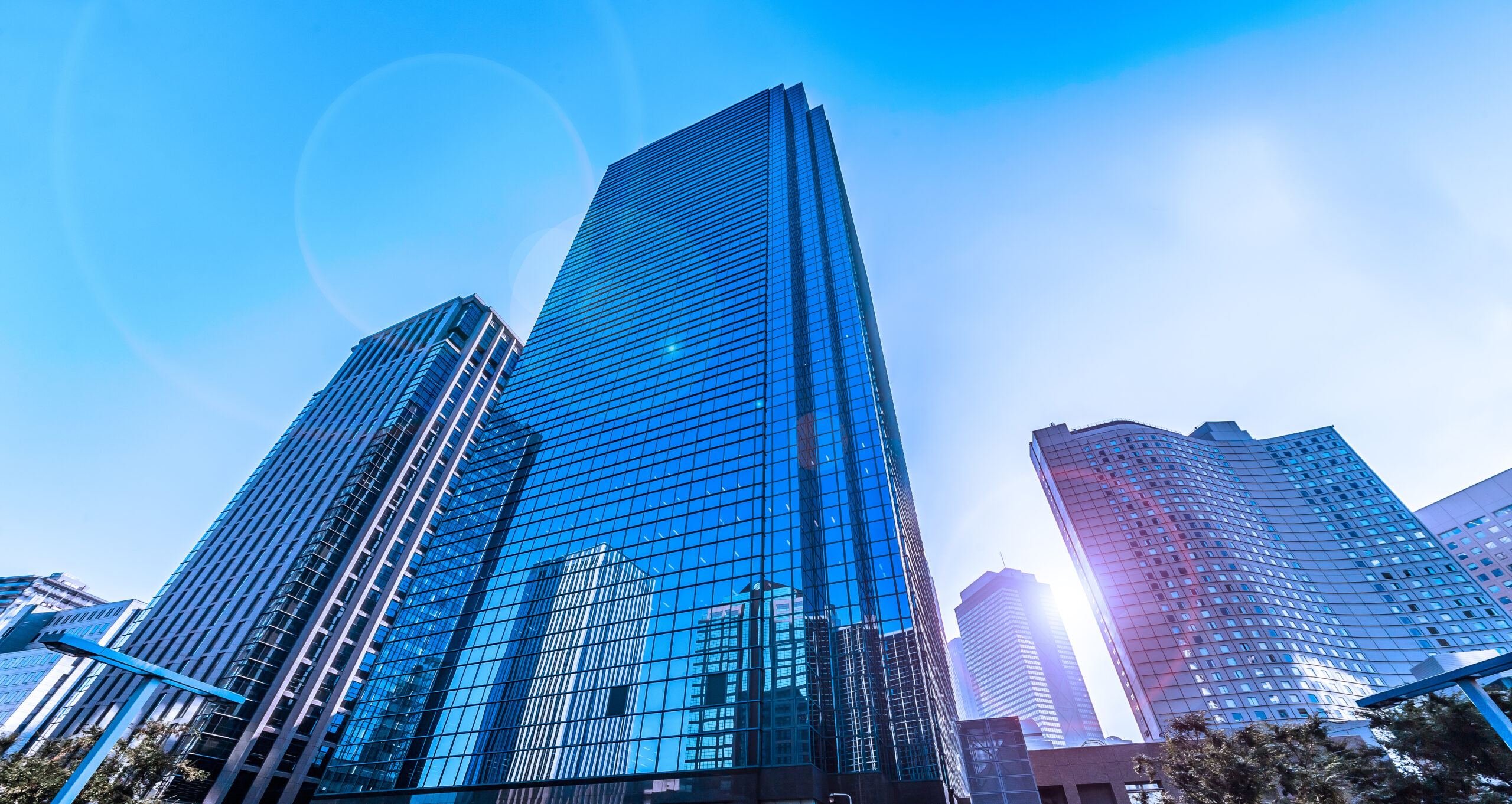 新しい事業の妥当性を豊富な経験から判断をもらい、事業化まで進めたい