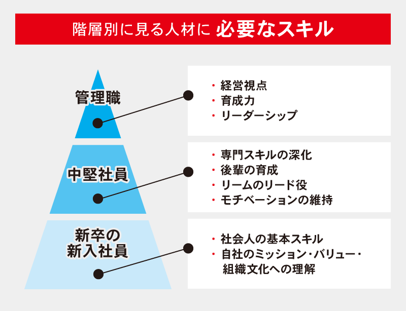 階層別に見る人材に必要なスキル